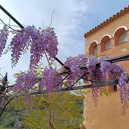 Hotel Cami Roma